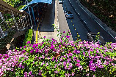 《驾驶拉力赛》4月多平台正式推出 拉力赛车名作